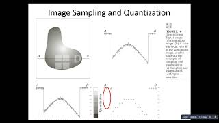 Famous 7 components image processing sampling quantization Net Worth