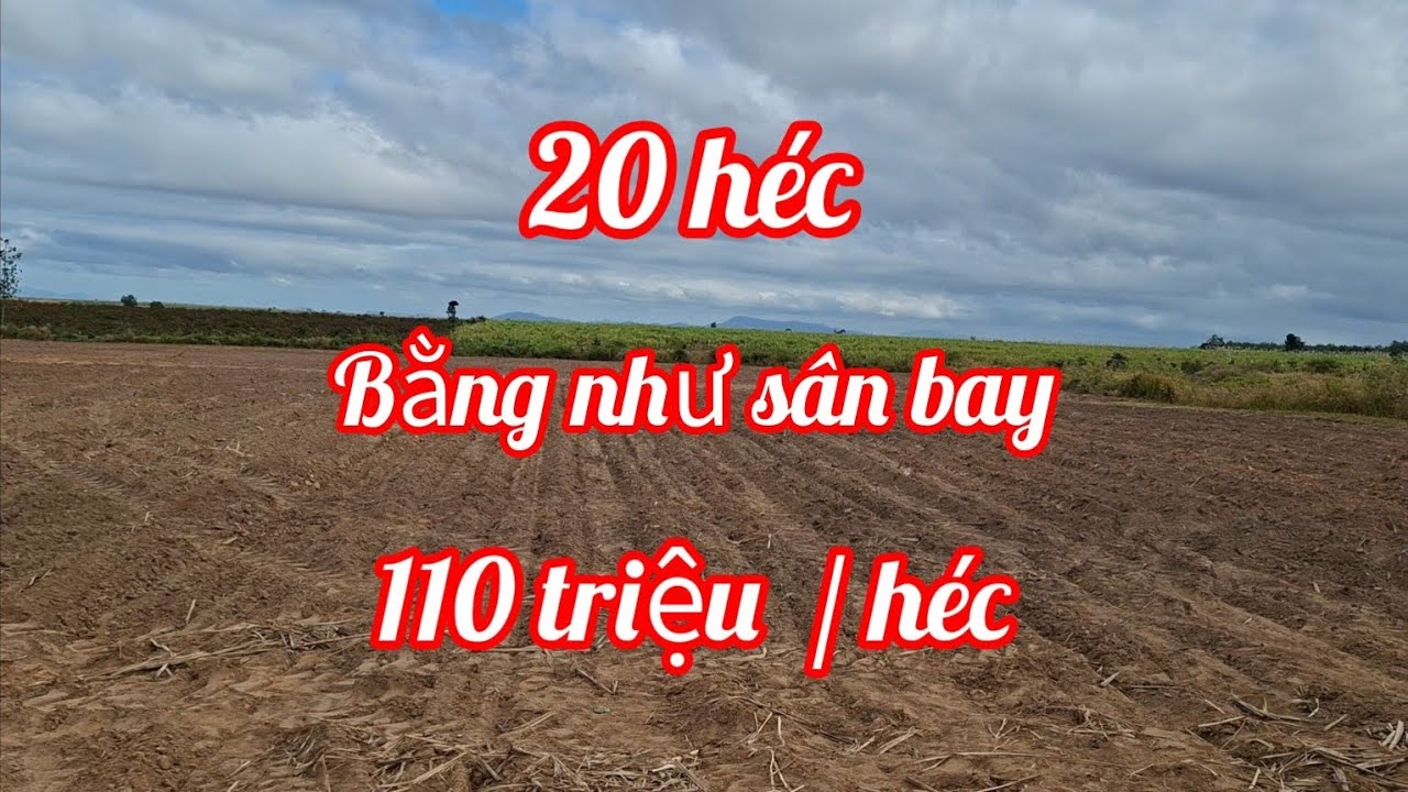 (388)Đất Bằng như sân bay, thích hợp trồng cây Cà phê,cây ăn trái,suối bao quanh 