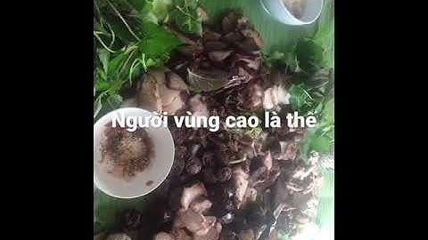 Người vùng cao là thế, uống không say không về. Bắc Kạn quê hương rượu men lá nổi tiếng.