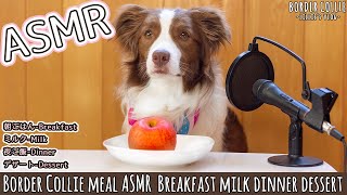 [ASMR/chewing sound] Border collie meal