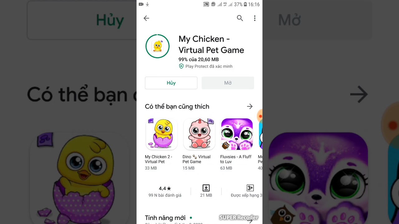 Chip Chan Live Stream Youtube