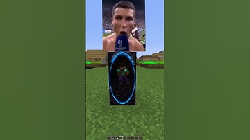 the most Ohio secret nether portals in Minecraft... (INSANE END) #minecraft #meme #memes #shorts