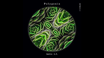 Polygonia - Mangrove [DFM011]