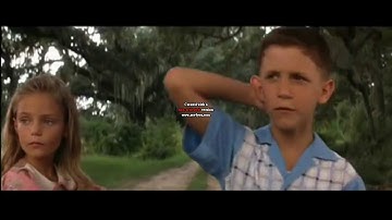 RUN FOREST RUN MEME PART 2