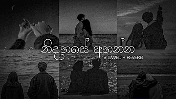 නිදහසේ අහන්න sinhala slowed + Reverb (Collections) | DEZTER BEATS