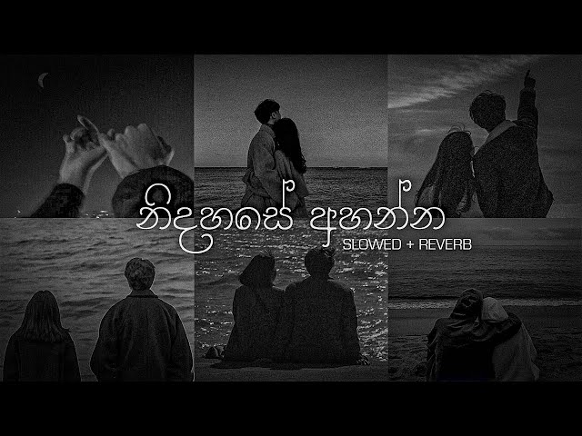 නිදහසේ අහන්න sinhala slowed + Reverb (Collections) | DEZTER BEATS class=