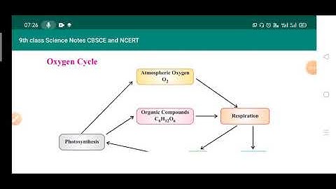 Oxygen Cycle | Class 9 Natural Resources