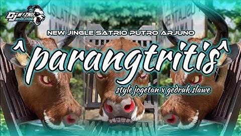 DJ BANTENGAN‼️ "PARANGTRITIS" (SATRIO PUTRO ARJUNO) REMIXER BY @Djwisnurevolutionreal