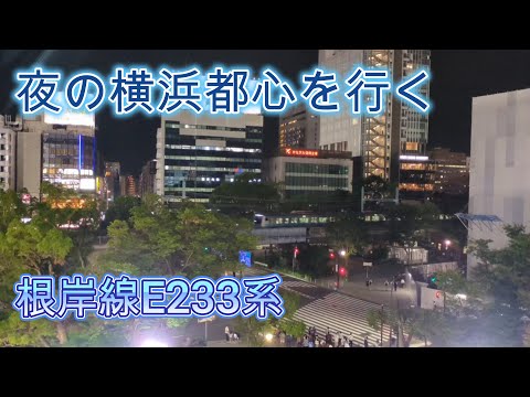 【根岸線】夜の関内駅近くを行くE233系と市営バス