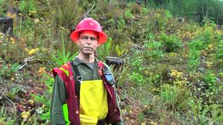 Riparian introduction