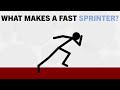 What Makes a Fast Sprinter?