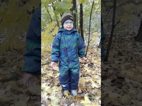 стих 'Осень наступила.