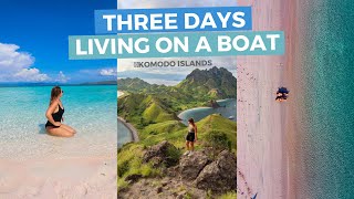 Sailing around KOMODO ISLANDS (Padar Island, Pink Beach, Manta Rays, Turtles + more) | VLOG (46)