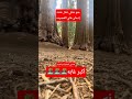 باسم الكربلائي ليلة بجي ونايحه اقرالك الفاتحه اشتراك بلقناة لايك تعليق حبيبي ياحسين دويتو