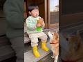 The dog stole the food and ran away 😢🐶　#dogshorts #kidsandpets #familyshorts