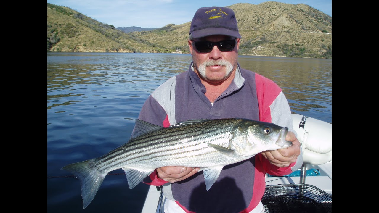 Silverwood Lake fishing for Striped Bass The Reel Brothers