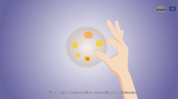 Environmental 2D Animation LifeBiorest  (Clavia Media Production)