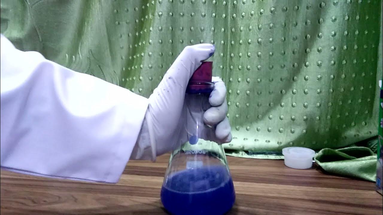 The blue bottle experiment YouTube