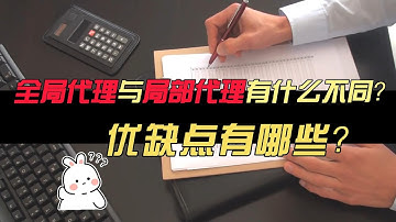 一个视频告诉你全局代理与局部代理有什么区别？优缺点有哪些？HTTP/SOCKS5协议，数据爬取，俄罗斯代理ip