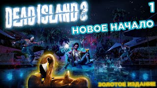 Зомби Теперь В Золоте | Прохождение Dead Island 2 Gold Edition