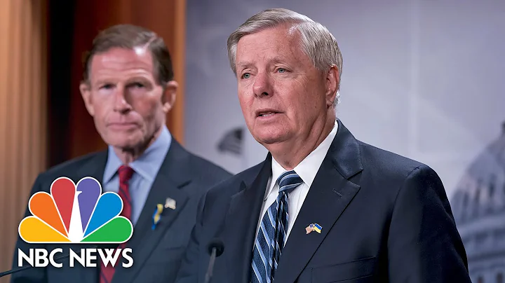 Sen. Lindsey Graham Seeks Emergency Relief From Su...