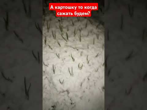 Вечер .7 мая