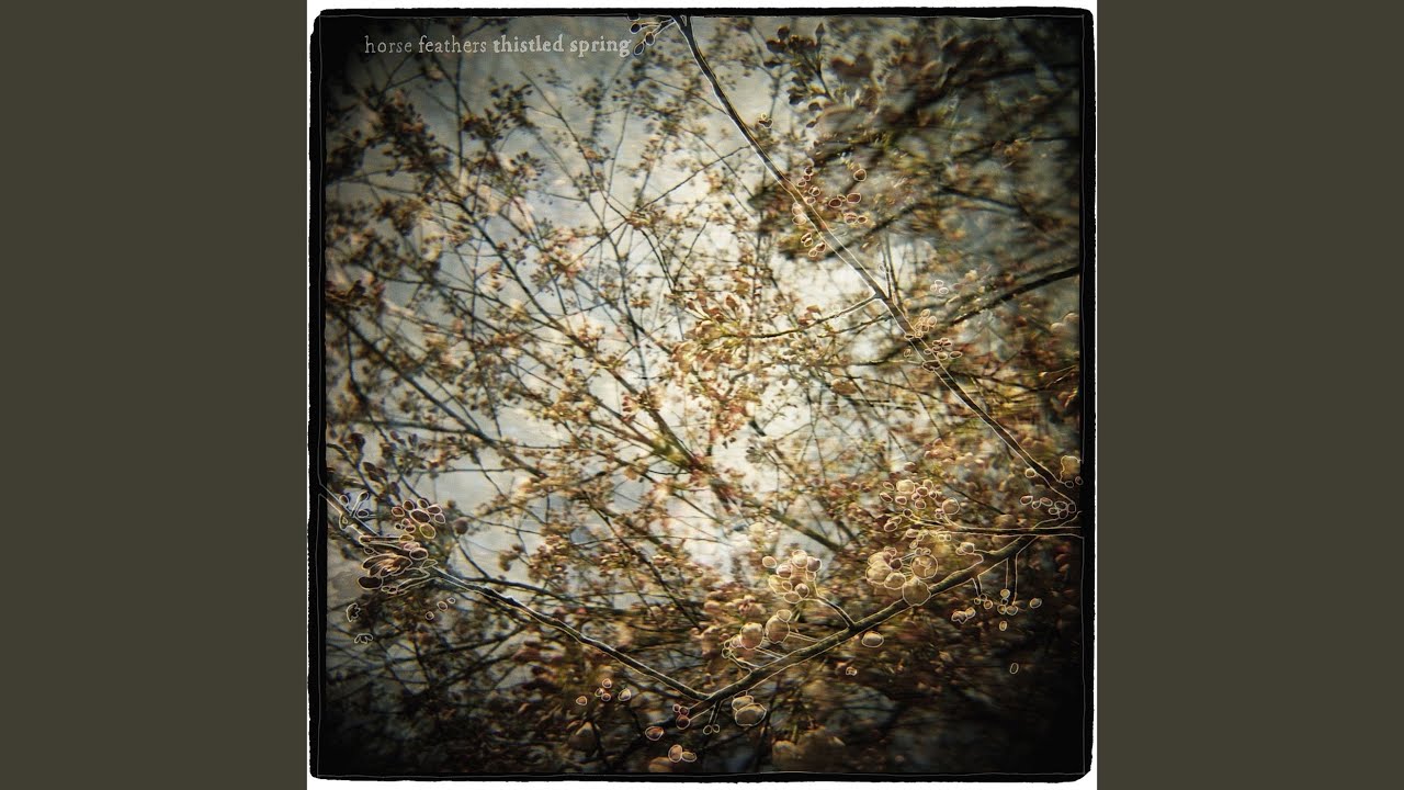 Watch Thistled Spring on YouTube Watch Thistled Spring on YouTube