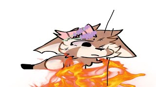 A Young Cape Fox Escapes A Forest Fire.