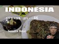 クワガタ採集・INDONESIA/語り・・46