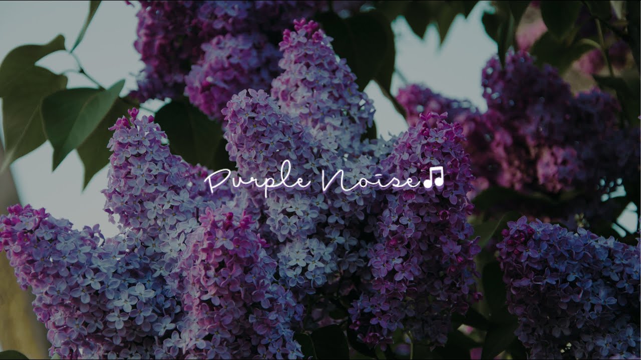 Red Dragonfly 🦋 Purple Noise New Age 💜