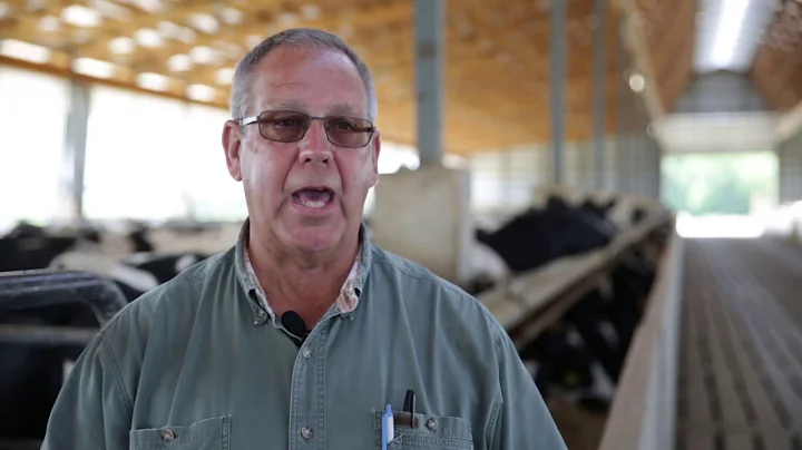 Dave Lepley's Gable Beef Barn