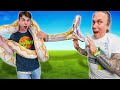 How To Handle An Angry Giant Snake!