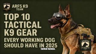 Top 10 Tactical K9 Gear for Every Working Dogs