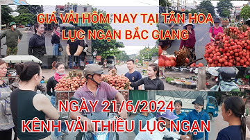 GIÁ VẢI THIỀU NGÀY 21/6/2024 TẠI TÂN HOA LỤC NGẠN BẮC GIANG
