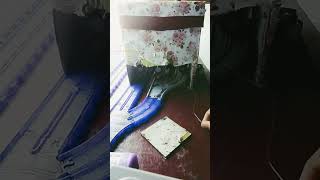 Btwf Hallowen Timothy