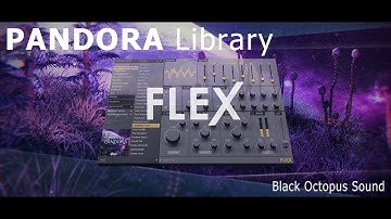 FLEX | Black Octopus Pandora Library