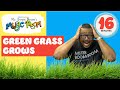 Green Grass Grows All Around Song for Kids with Mr. Boom Boom | Music Class for Kids
