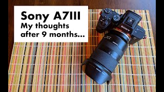 A Delightful Camera - 9 Months with a the Sony A7III