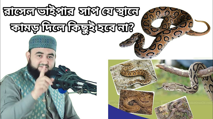 রাসেল ভাইপার সাপ যে স্থানে কামড় দিলে কিছুই হবে না?,,, 2024,,,,