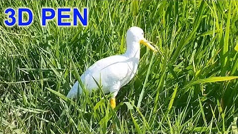 Rảnh rỗi vẽ con cò bằng bút 3D - Ngọc Automation