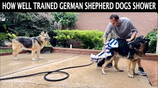 Trained German Shepherd Dogs Take A Shower | This Indian