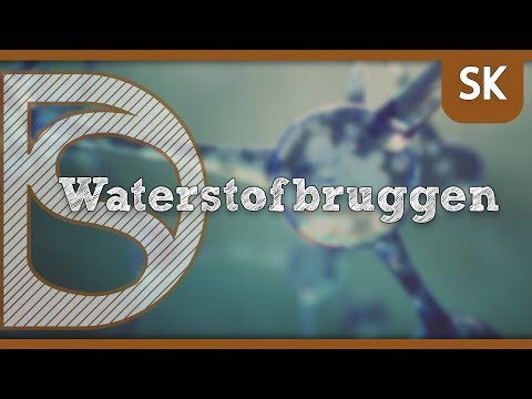 Video: Hoeveel atomen in het afgebeelde molecuul kunnen waterstofbruggen vormen met water?