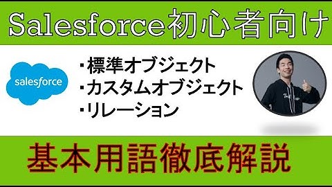 【標準オブジェクト、カスタムオブジェクト、リレーション】Salesforce基本用語徹底解説【初心者向け】
