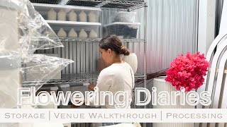 Floral Business Storage | RBI | Processing Flowers | Flowering Diaries   4K