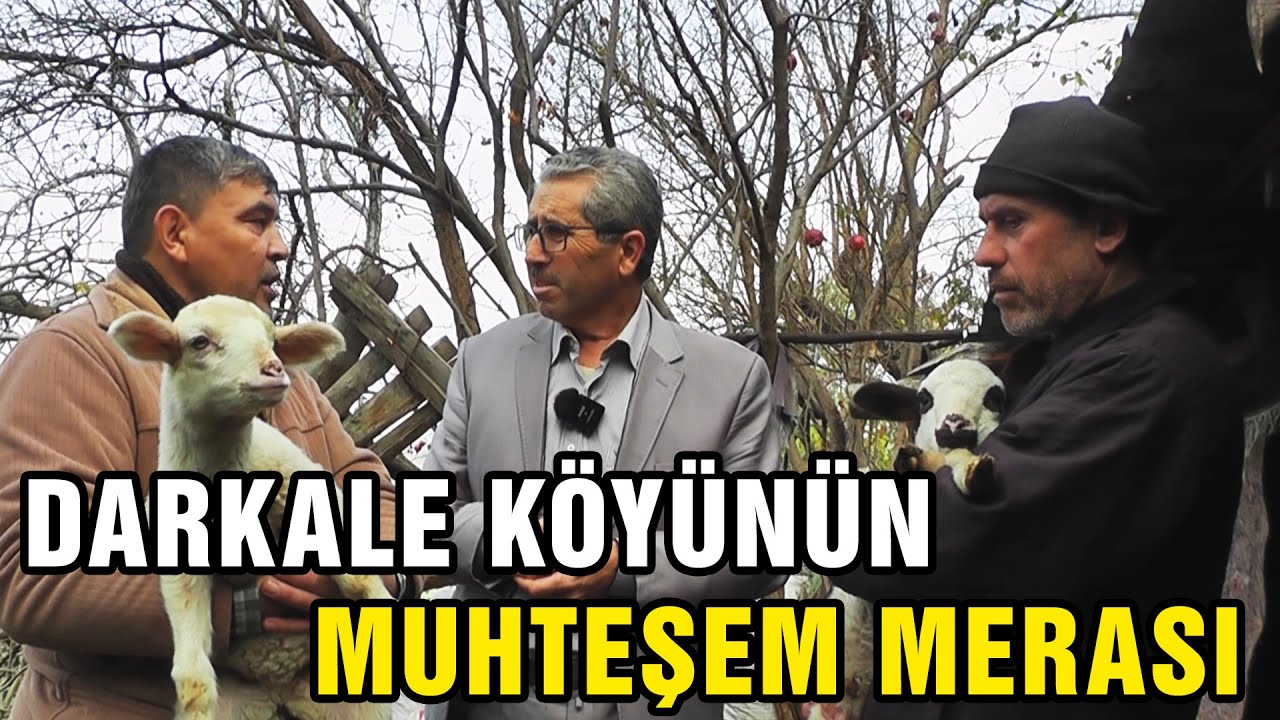 Darkale Köyünün Muhteşem Merası - Çobanla Baş Başa