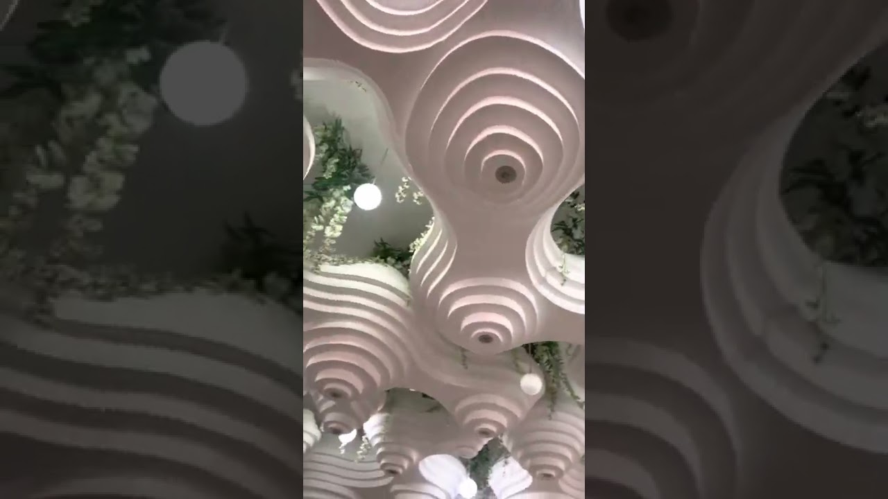 Обзор  тойкана  Астро 