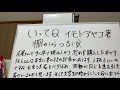 いってQ、イモトアヤコ著。棚からつぶ貝。を読んで