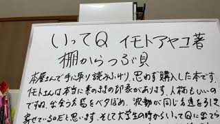 いってQ、イモトアヤコ著。棚からつぶ貝。を読んで