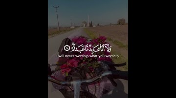 سورة الكافرون | القارئ سعد الغامدي
