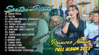 PRINCES NADIA - SANTRI PEKOK - RUCAH - BOJO BIDUAN | AGENG MUSIC | FULL ALBUM 2023